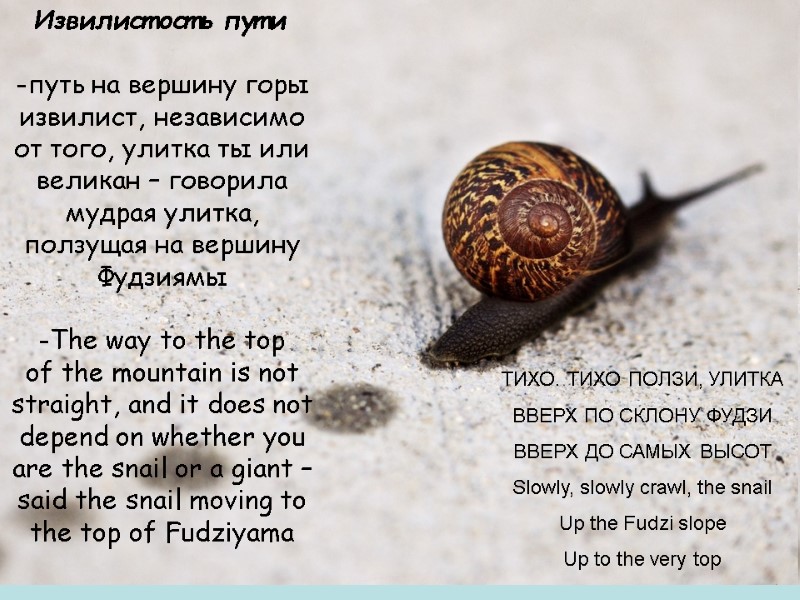 Извилистость пути    путь на вершину горы извилист, независимо от того, улитка